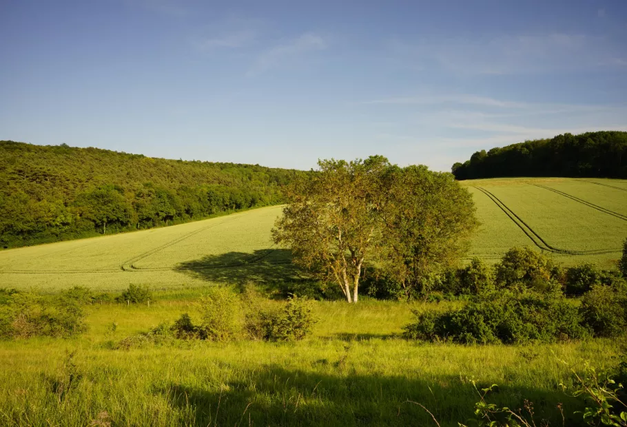Vendre mon terrain en Normandie